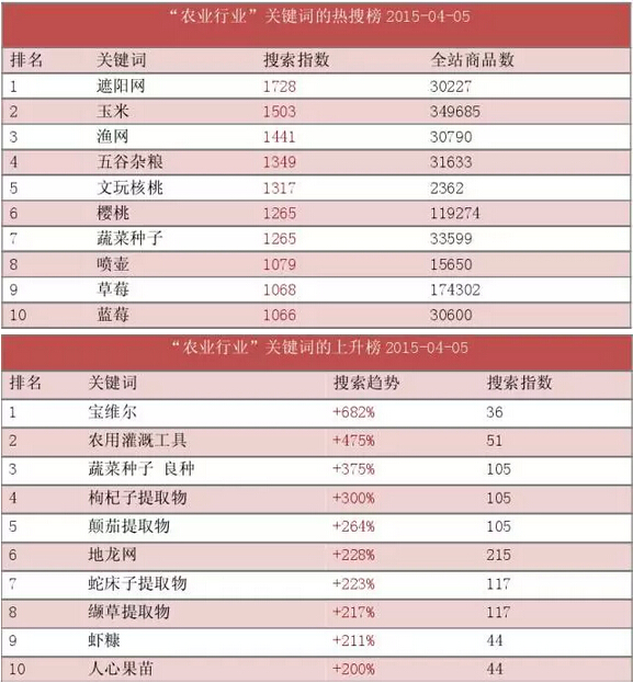 付夢雯:“農村淘寶”的發展策略與現存不足(圖8)