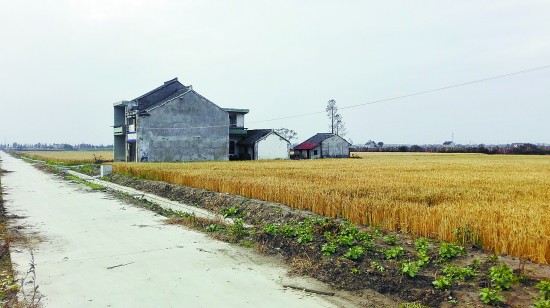 三個家庭構成的鄉村生活圖景(圖2)