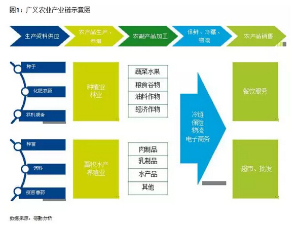 葉偉文:布局中國大農業的投資邏輯(圖1)