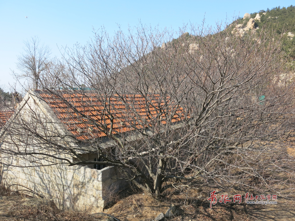 嶗山深處，即將消失的村莊(圖2)