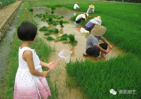 哪一張喚起你兒時的記憶(圖10)