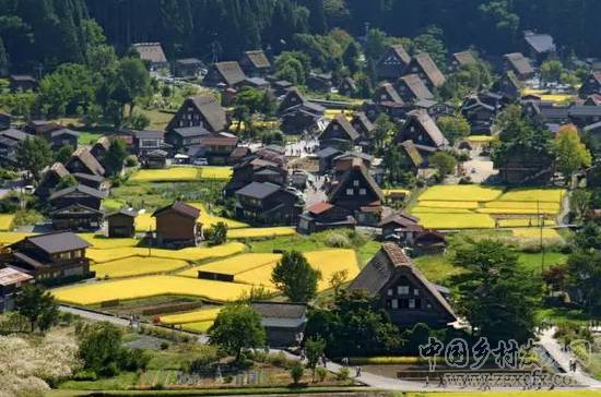 日本最美小村 旅游規劃最佳借鑒案例 ！