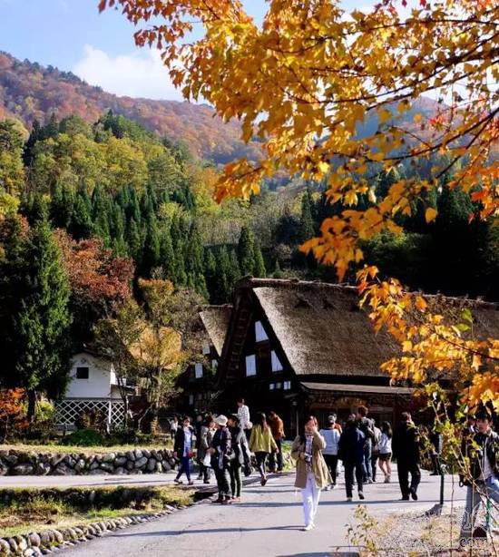 日本最美小村 旅游規劃最佳借鑒案例 ！