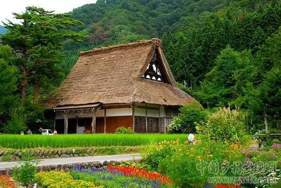 日本最美小村 旅游規劃最佳借鑒案例 ！