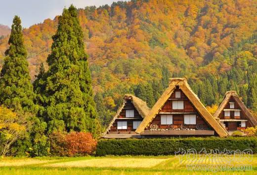 日本最美小村 旅游規劃最佳借鑒案例 ！