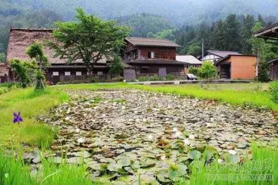 日本最美小村 旅游規劃最佳借鑒案例 ！