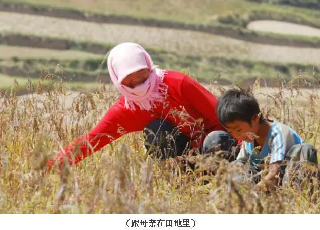 我是個住在小山村里的鄉下人，不要嫌棄我(圖31)