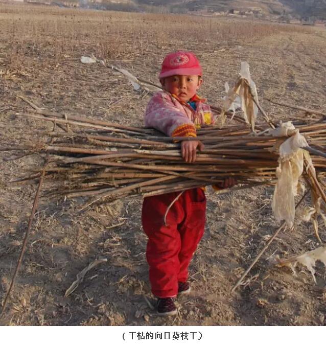 我是個住在小山村里的鄉下人，不要嫌棄我(圖32)