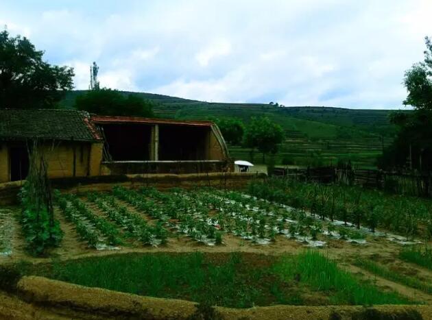 我是個住在小山村里的鄉下人，不要嫌棄我(圖8)