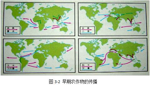 劉國棟:農業的起源都離不開“吃”(圖4)