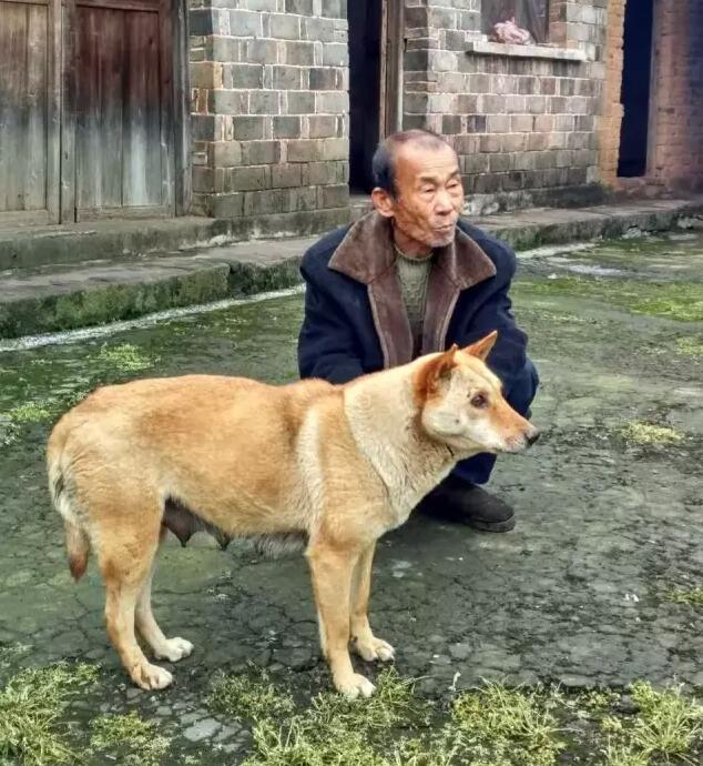 山里人日志:無人村行走(圖1)