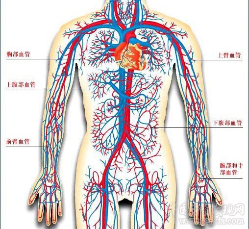 張英鋒:重農抑商是中國兩千年沒能擺脫的幽靈與毒藥(圖3)