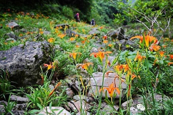 鄉村夠美才記得住鄉愁(圖8)