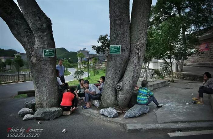 汝城縣土橋鎮金山村(圖31)