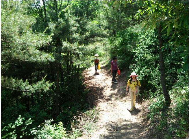 民風淳樸的藍田縣藍橋鄉圪塔廟村(圖38)