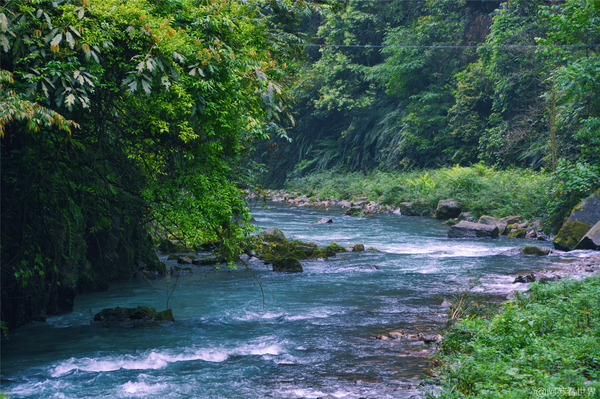 在迷霧炊煙里看溶洞上的土家山寨(圖17)