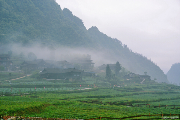 在迷霧炊煙里看溶洞上的土家山寨(圖15)