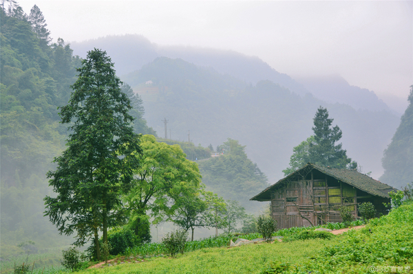 在迷霧炊煙里看溶洞上的土家山寨(圖11)