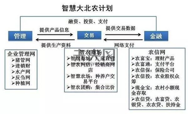 王碩:行業(yè)分析互聯(lián)網(wǎng)金融+三農(nóng)的五大模式(圖2)