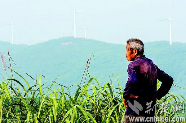 古村落，一個老人的十三年堅守(圖5)