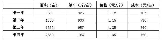 一個從城市返回農村靠種地發財的創業者(圖1)