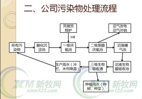 應用農業生態系統原理解決豬場污染問題(圖1)