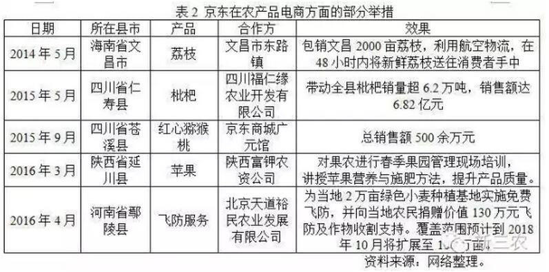 王昕天:農村電子商務的典型模式及問題探析(圖2)