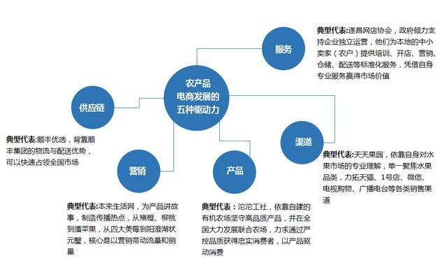 伍亮亮:五大農產品電商模式研究分析(圖2)