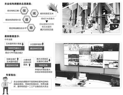 第四輪種植結構調整布局現代大農業(圖1)