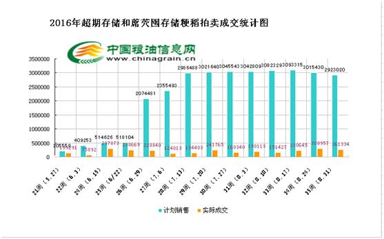 水稻成熟了，收儲能否再續強勢？(圖2)