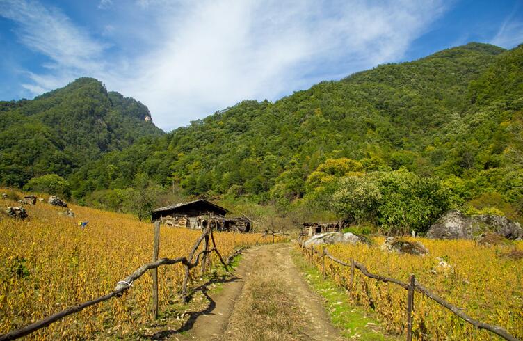 秦嶺令人心酸的深山房屋(圖1)