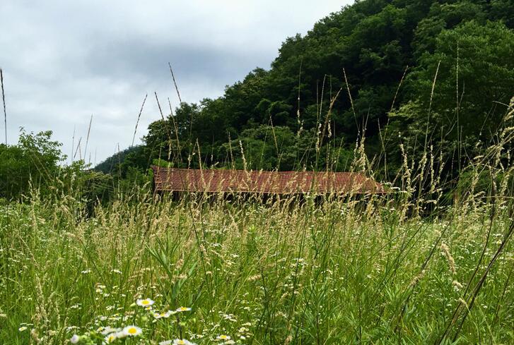 秦嶺令人心酸的深山房屋(圖17)