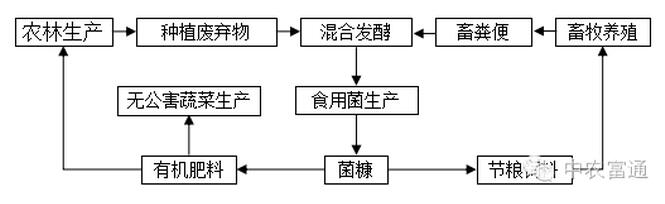 縣域循環(huán)農(nóng)業(yè)發(fā)展模式淺談(圖1)