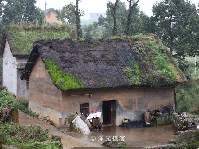 生活在大山包深處最原始的蘑菇村(圖5)