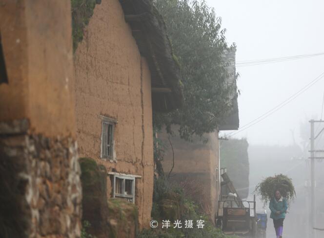 生活在大山包深處最原始的蘑菇村(圖7)