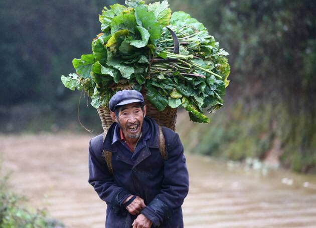 生活在大山包深處最原始的蘑菇村(圖14)