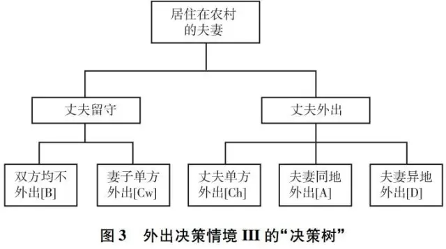 李代等:外出還是留守？(圖3)