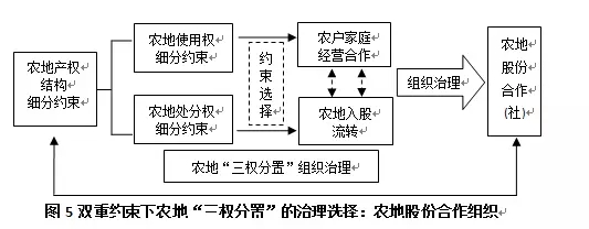 李寧等:現代農業發展背景下如何才能使農地的三權分置更有效(圖7)