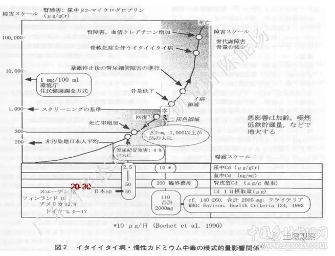 陳能場:從鎘超標到痛痛病的距離(圖6)