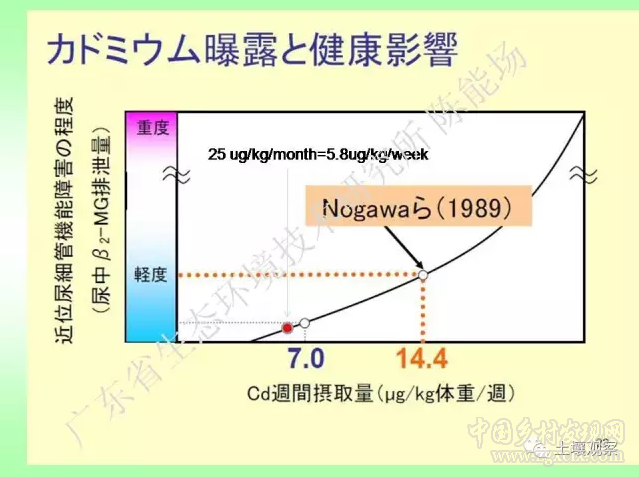 陳能場:從鎘超標到痛痛病的距離(圖7)