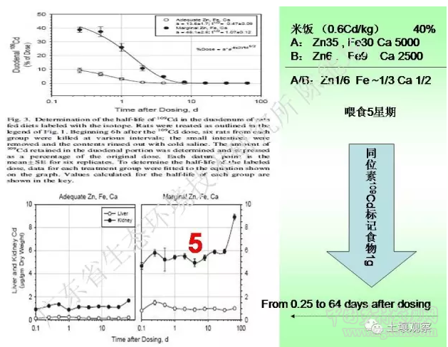 陳能場:從鎘超標到痛痛病的距離(圖28)