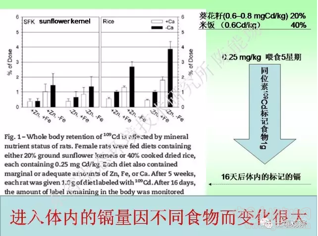 陳能場:從鎘超標到痛痛病的距離(圖27)