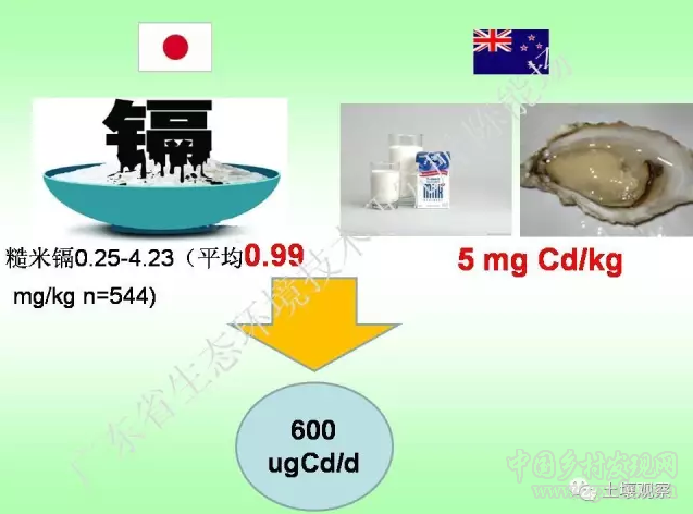 陳能場:從鎘超標到痛痛病的距離(圖35)