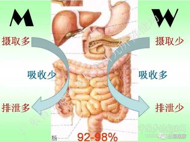 陳能場:從鎘超標到痛痛病的距離(圖40)