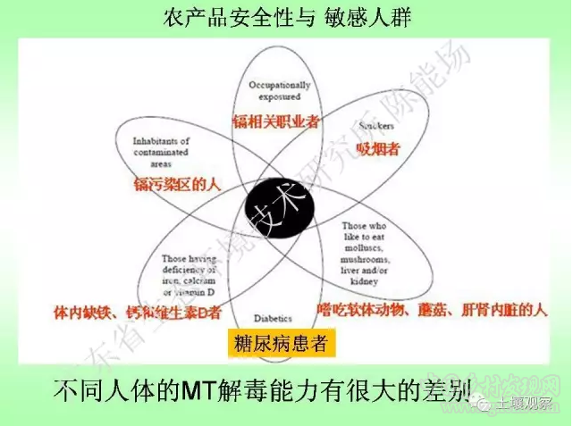 陳能場:從鎘超標到痛痛病的距離(圖45)