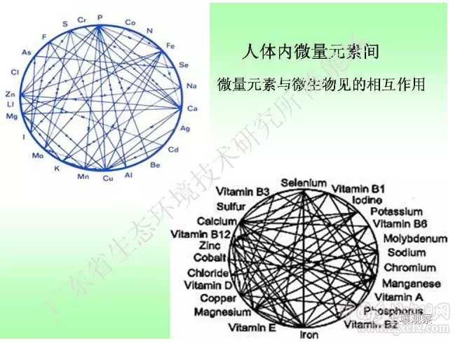 陳能場:從鎘超標到痛痛病的距離(圖47)