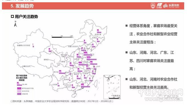 鄉村振興戰略發展研究及輿情分析報告(圖38)