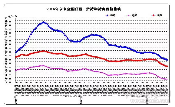 生豬價格降幅創下歷史新高 社會改革勢在必行(圖4)