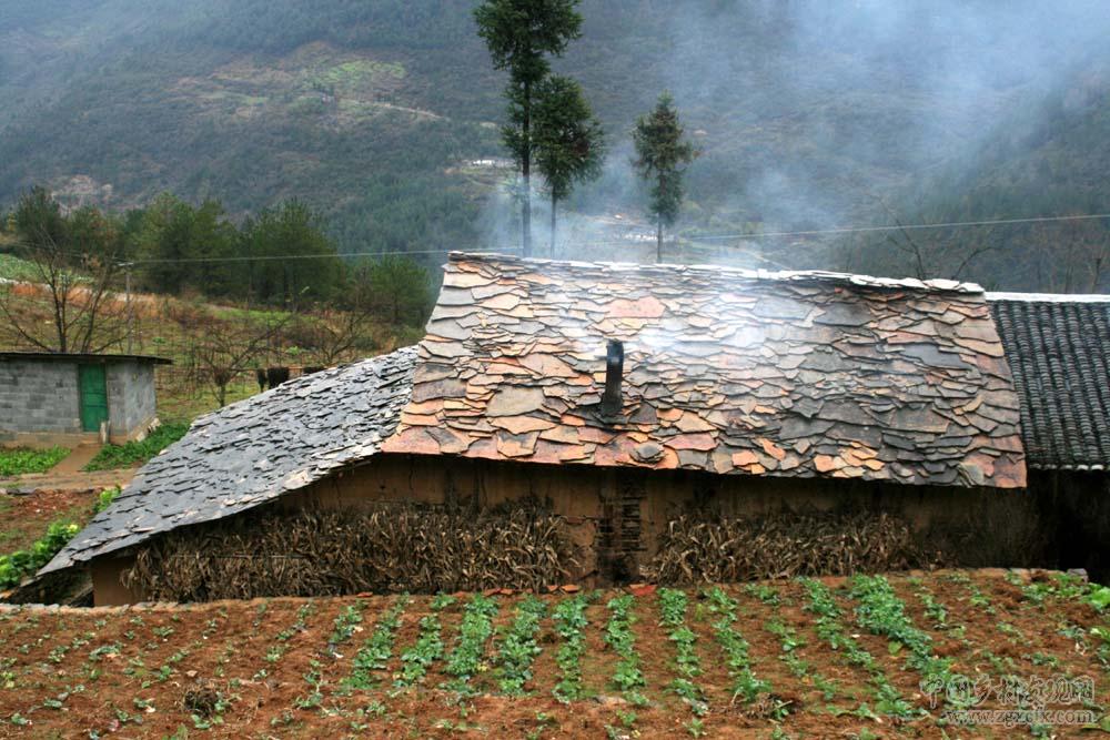 巫山石板房見證農村居住與鄉村振興旅游巨變(圖3)