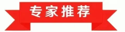 書訊｜陳文勝新著《中國鄉村何以興》出版上線(圖4)